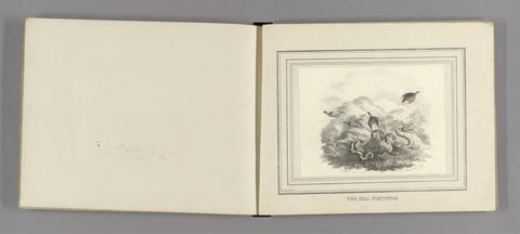 The feathered game of Hindostan : the birds introduced in pairs, covies, or otherwise as in nature, accompanied with appropriate scenery / the birds by Christopher Webb Smith, Esqr. ; the landscapes by Sir Charles D'Oyly, Bart.