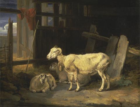 James Ward Heath Ewe and Lambs