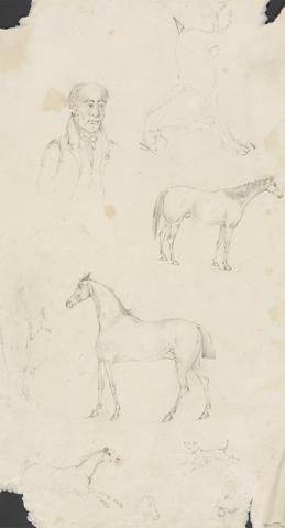 unknown artist Man, Horses and Dogs