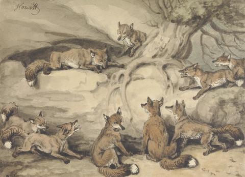 Nine Foxes Gathered Around a Tree: an Illustration of Aesop's Fable, "The Fox who Lost His Tail"