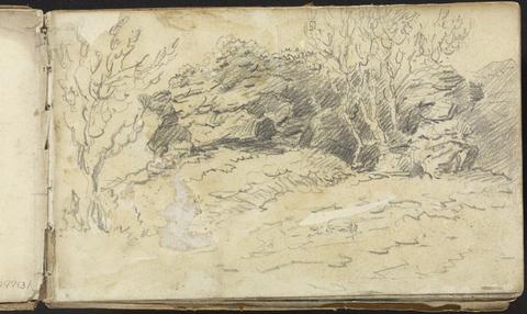 Thomas Bradshaw Album of Landscape and Figure Studies: Sketch of Trees and Rocks