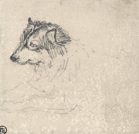 James Ward Arctic Dog, Facing Left