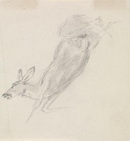 Sawrey Gilpin Study of a dead deer