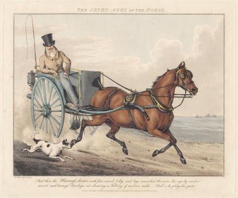 Henry Thomas Alken Set of seven: The Seven Ages of the Horse
