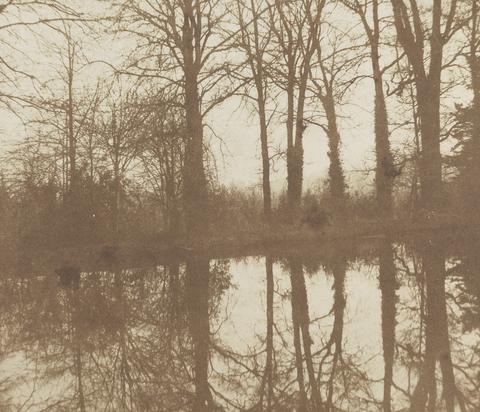 William Henry Fox Talbot Reflected Trees, Lacock