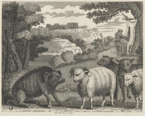William Skelton Fable V. The Wild Boar and the Ram