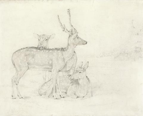 Sir Edwin Henry Landseer A Herd of Deer Grazing in a Park