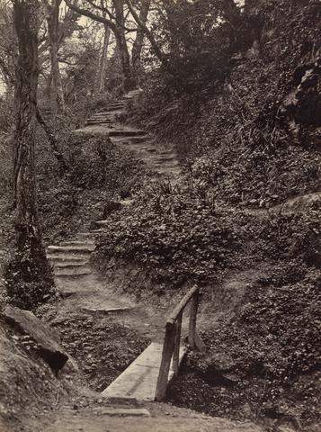 unknown artist Rustic Steps and Bridge in Landscape