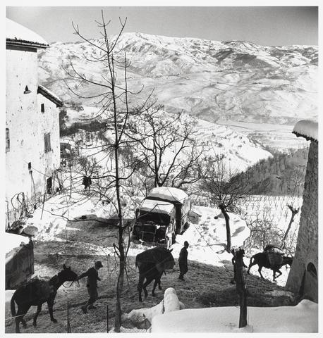 Constance Stuart Larrabee Pack Mules Returning to Base Camp, Apennines, 1944
