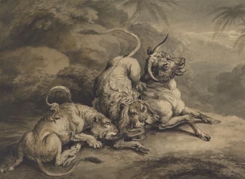 Samuel Howitt Lion and Lioness Attacking a Steer