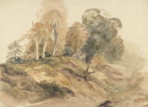 Peter DeWint Trees on a Bank