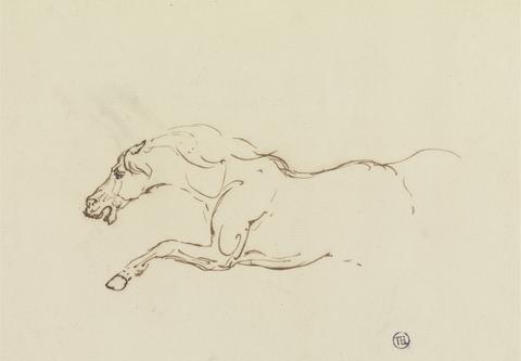 unknown artist Study of a Galloping Horse