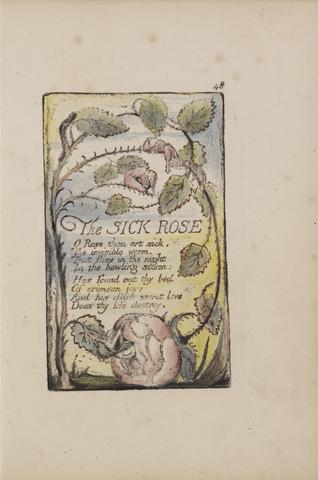 William Blake Songs of Innocence and of Experience, Plate 48, "The Sick Rose" (Bentley 39)