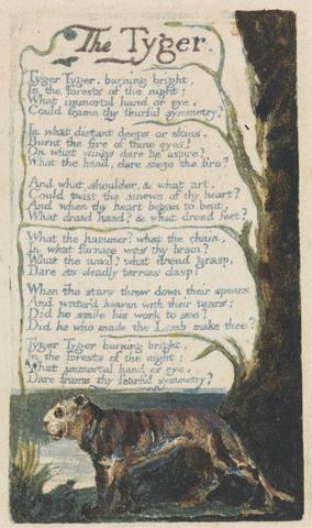 William Blake Songs of Innocence and of Experience, Plate 42, "The Tyger" (Bentley 42)