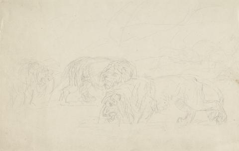 Sawrey Gilpin Three Lions, Prowling