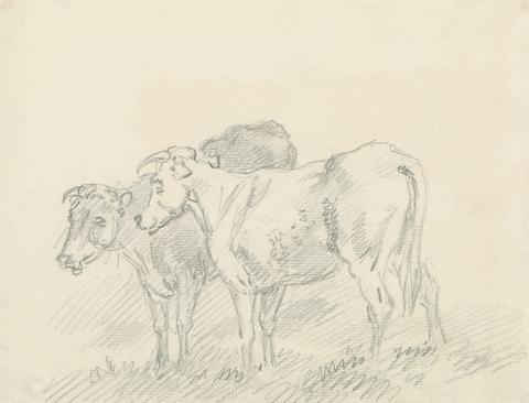 Sawrey Gilpin Two Cows