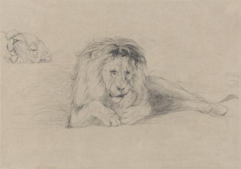 John Frederick Lewis Study of a Lion and Study of a Lioness' Head