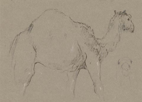 George Jones A Camel Moving to the Right; a Sketch of a Camel's Head, Bottom Right