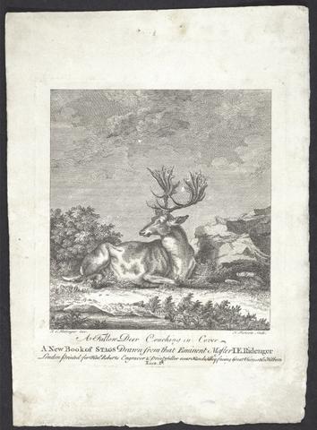 Ridinger, Johann Elias, 1698-1767. A new book of stags /