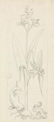 Sir John Everett Millais Stained Glass Study, Water Plant with Grasshoper, Fish and Newt