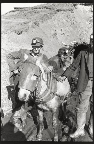 Bruce Davidson Coal Miners Next to Work Horse