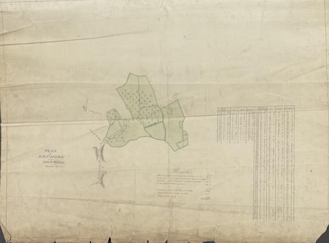 unknown artist Plan of Drumore and Howwell Meadows