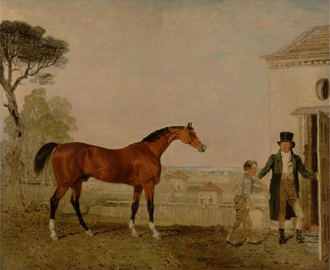 Lambert Marshall 'Sultan' at the Marquess of Exeter's Stud, Burghley House