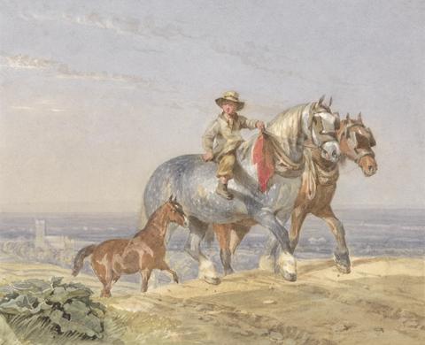John Frederick Tayler A Ploughboy Riding One of a Pair of Draught-horses Up a Hill