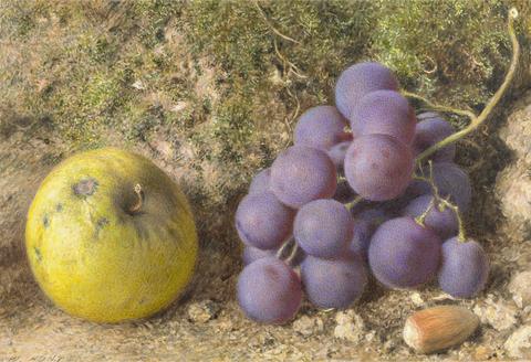 William Henry Hunt Apple, Grapes and a Cob-Nut