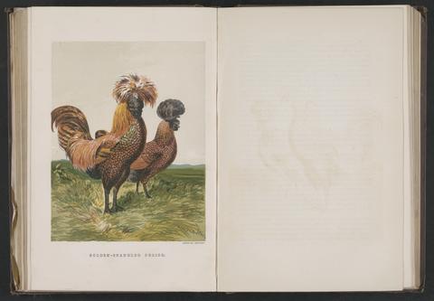 The poultry book: comprising the breeding and management of profitable and ornamental poultry, their qualities and characteristics; to which is added "The standard of excellence in exhibition birds," authorized by the Poultry Club. By W. B. Tegetmeier ... With coloured illustrations by Harrison Weir, and numerous engravings on wood.