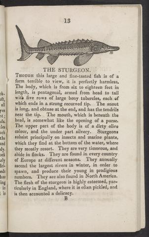  A natural history of fishes :