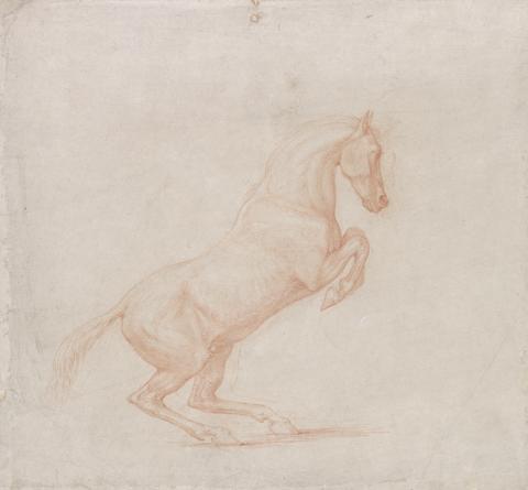 George Stubbs A Prancing Horse, Facing Right