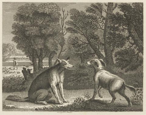 William Skelton Fable XVII. The Shepherd's Dog and the Wolf