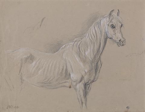James Ward A Mare: Possibly a Study for "L'Amour de Cheval", Dated 1827, in the Tate Gallery