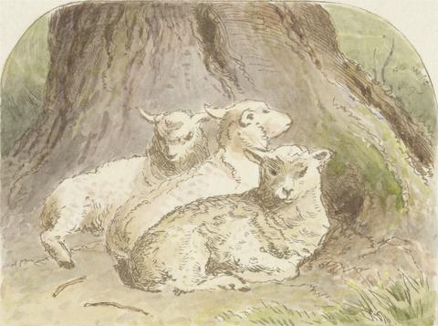 Alfred W. Cooper Lambing Time (tail piece)