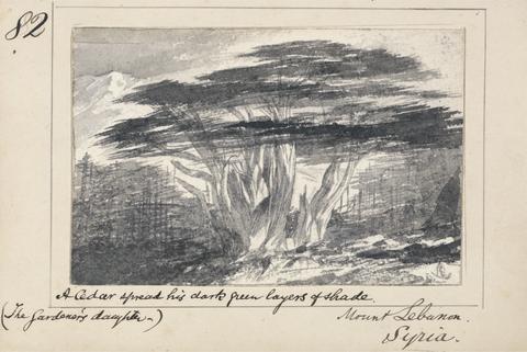 Edward Lear Illustration to Tennyson's "The Gardener's Daughter:" Mount Lebanon, Syria - `A Cedar spread his dark green layers of shade'