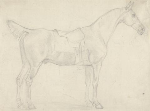 Sawrey Gilpin Saddled Horse, Facing Right