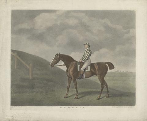 George Townly Stubbs Pumpkin [with jockey up]