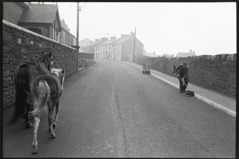 Bruce Davidson Man Sweeping Street, Horses
