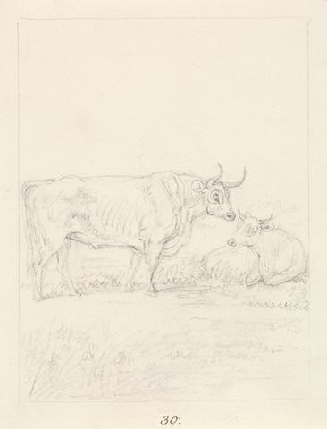 Samuel Howitt Bull and Cow