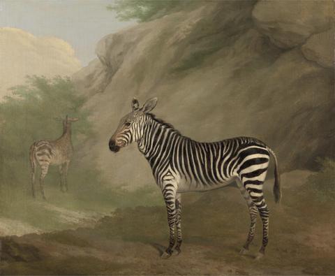 Jacques-Laurent Agasse Zebra