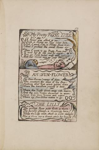 William Blake Songs of Innocence and of Experience, Plate 53, "My Pretty Rose Tree", "Ah! Sun-Flower", "The Lilly" (Bentley 43)