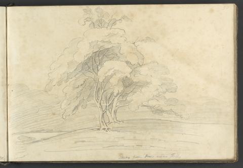 William Brockedon Study from trees near Folly