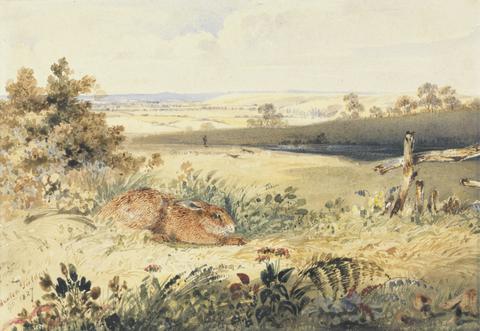 Newton Limbird Smith Fielding Hare in a Landscape