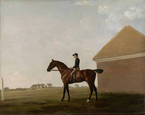 George Stubbs Turf, with Jockey up, at Newmarket