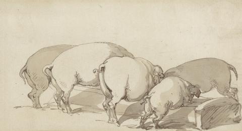 Thomas Rowlandson Pigs at a Trough