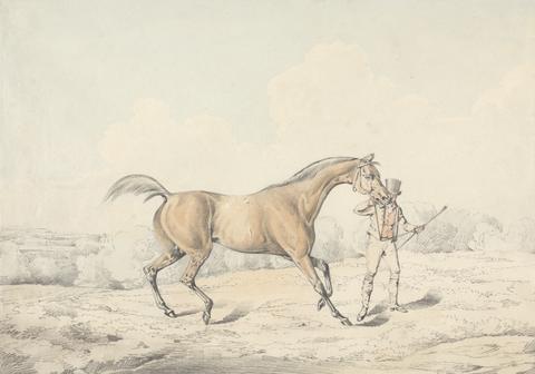 Henry Thomas Alken A Groom Leading a Bay Horse