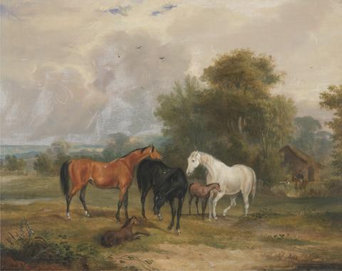 Francis Calcraft Turner Horses Grazing: Mares and Foals in a Field