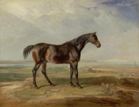 James Ward Dr. Syntax, a Bay Racehorse, Standing in a Coastal Landscape, an Estuary Beyond