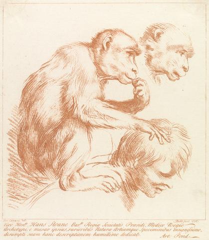 Arthur Pond Untitled: Two monkeys and a man